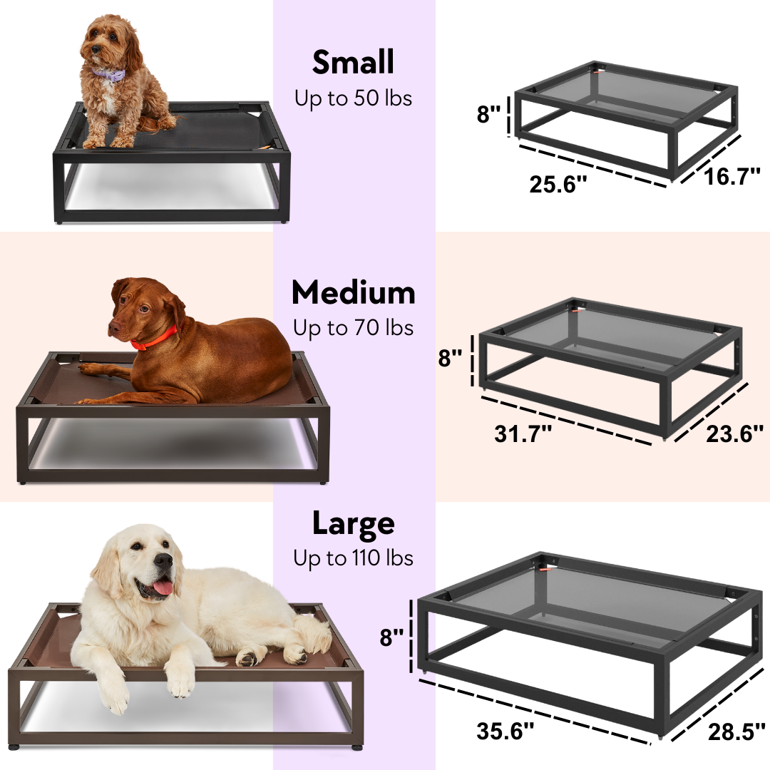 Orthopedic Up Pup platform dog bed by Fuzi, featuring a sturdy metal frame in black, perfect for adding the Sammy bolster dog bed on top, available in three sizes and designed for outdoor use.