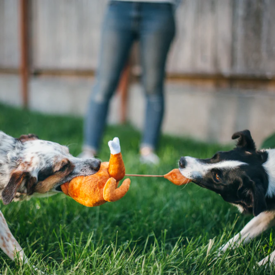 Turkey Dog Toy