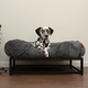 The FÜZI Dog Bed