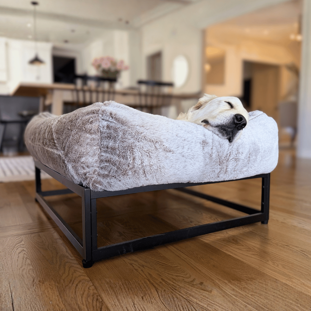 The FÜZI Elevated Dog Bed