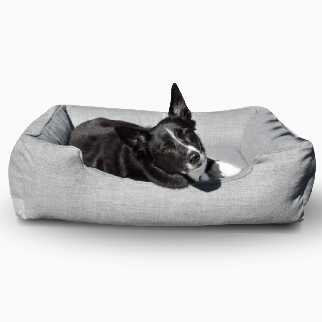 Dog Bed Cover