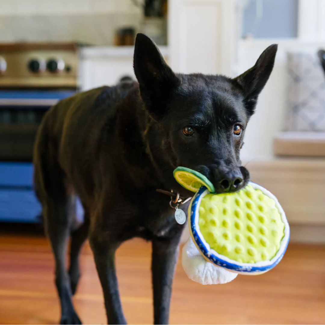 Barktender Pup-arita Dog Toy