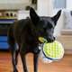 Margarita Dog Toy