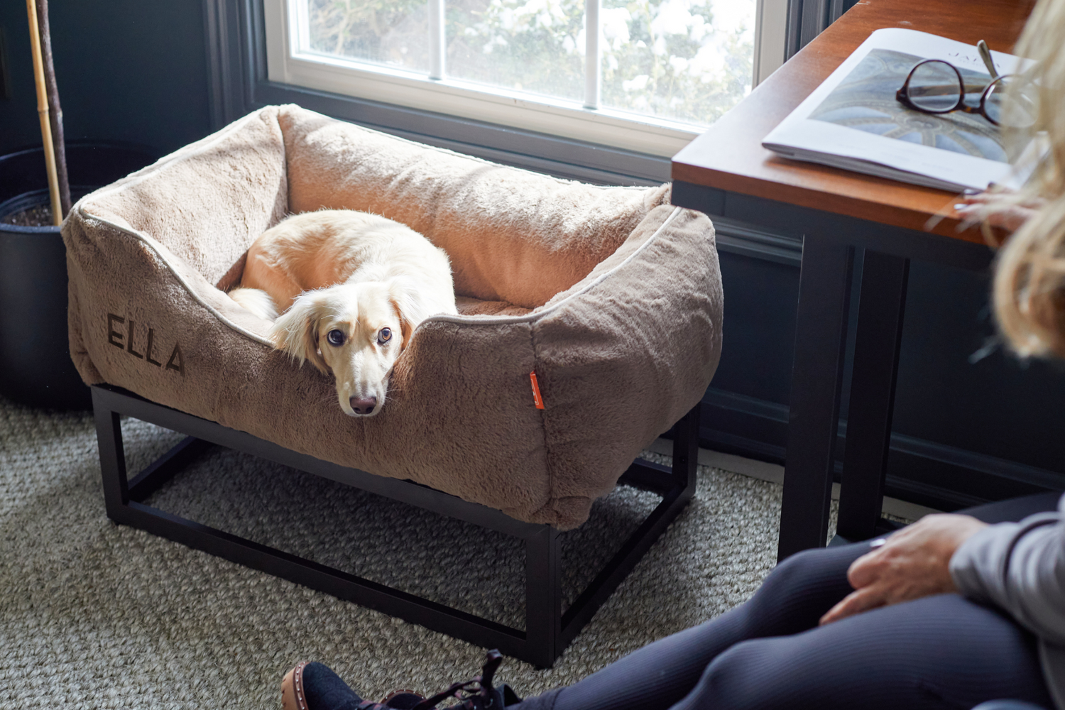 Modern luxe online dog bed