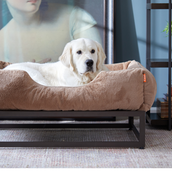 Elevated dog bed by Fuzi, perfect for keeping your pet off the ground and comfortable, large elevated dog bed in brown and brown metal base.