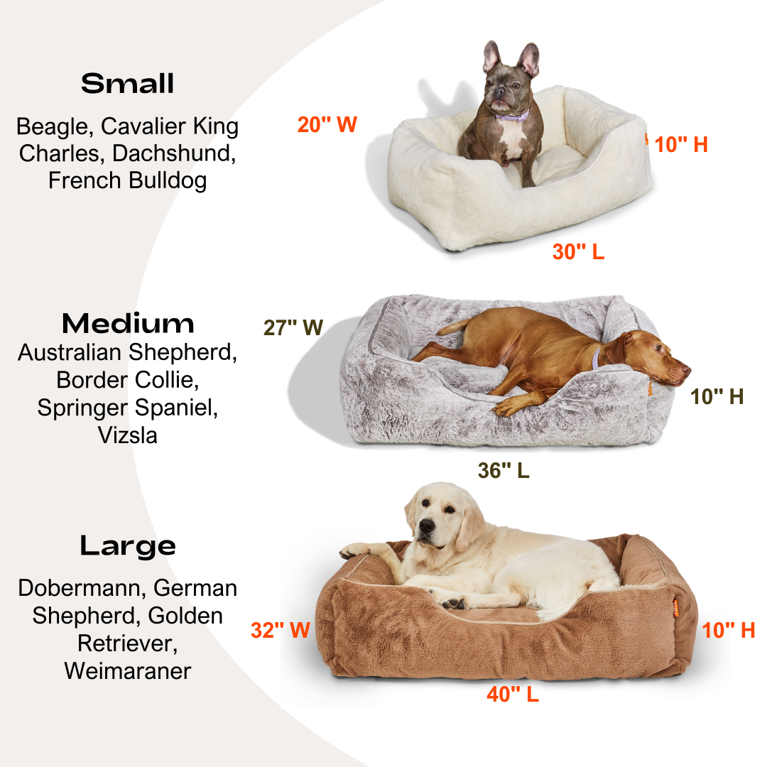 The Sammy bolster dog bed by Fuzi comes in small, medium and large, with an easy-to-clean, washable cover, available in four colors