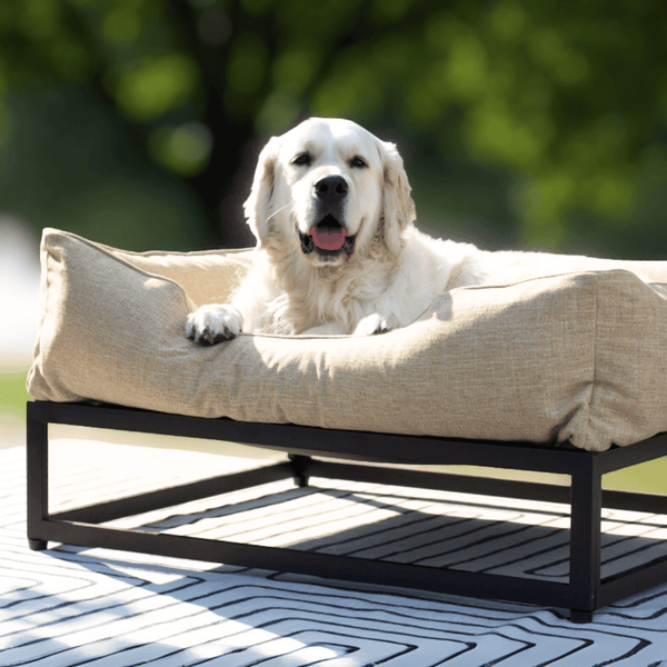 The FÜZI Dog Bed