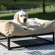 The FÜZI Dog Bed