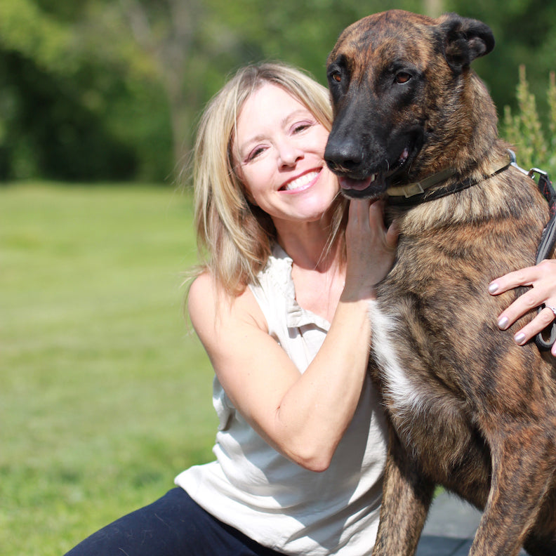 F ZI Pets Luxury Dog Beds Elevated Dog Beds Modern Dog Beds f-zi-pets-luxury-dog-beds-elevated-dog-beds-modern-dog-beds