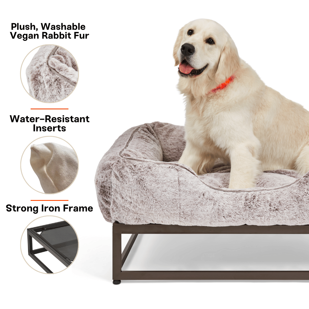 The FÜZI Dog Bed