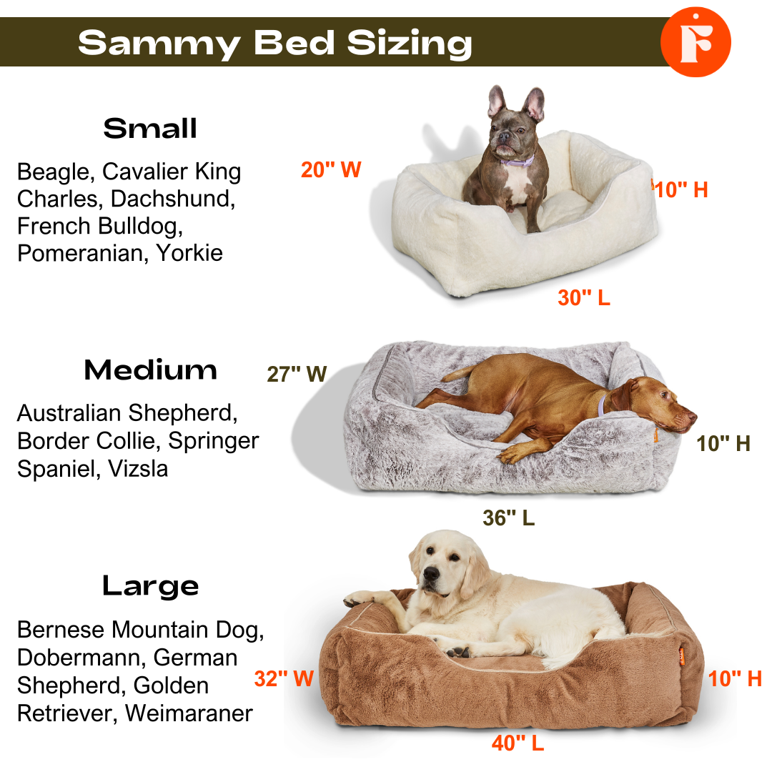 Australian Shepherd Dog Beds