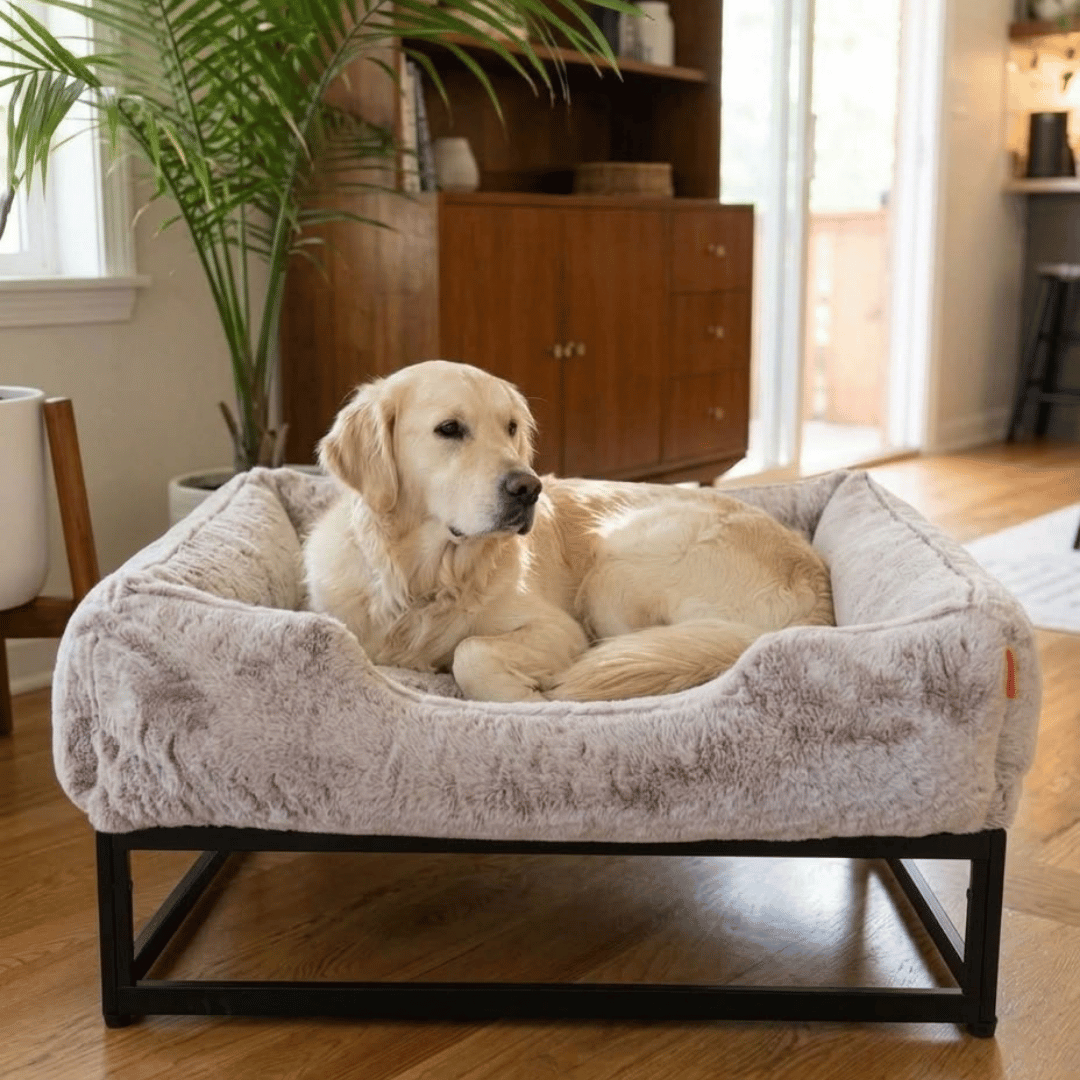 The FÜZI Elevated Dog Bed