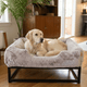 The FÜZI Elevated Dog Bed