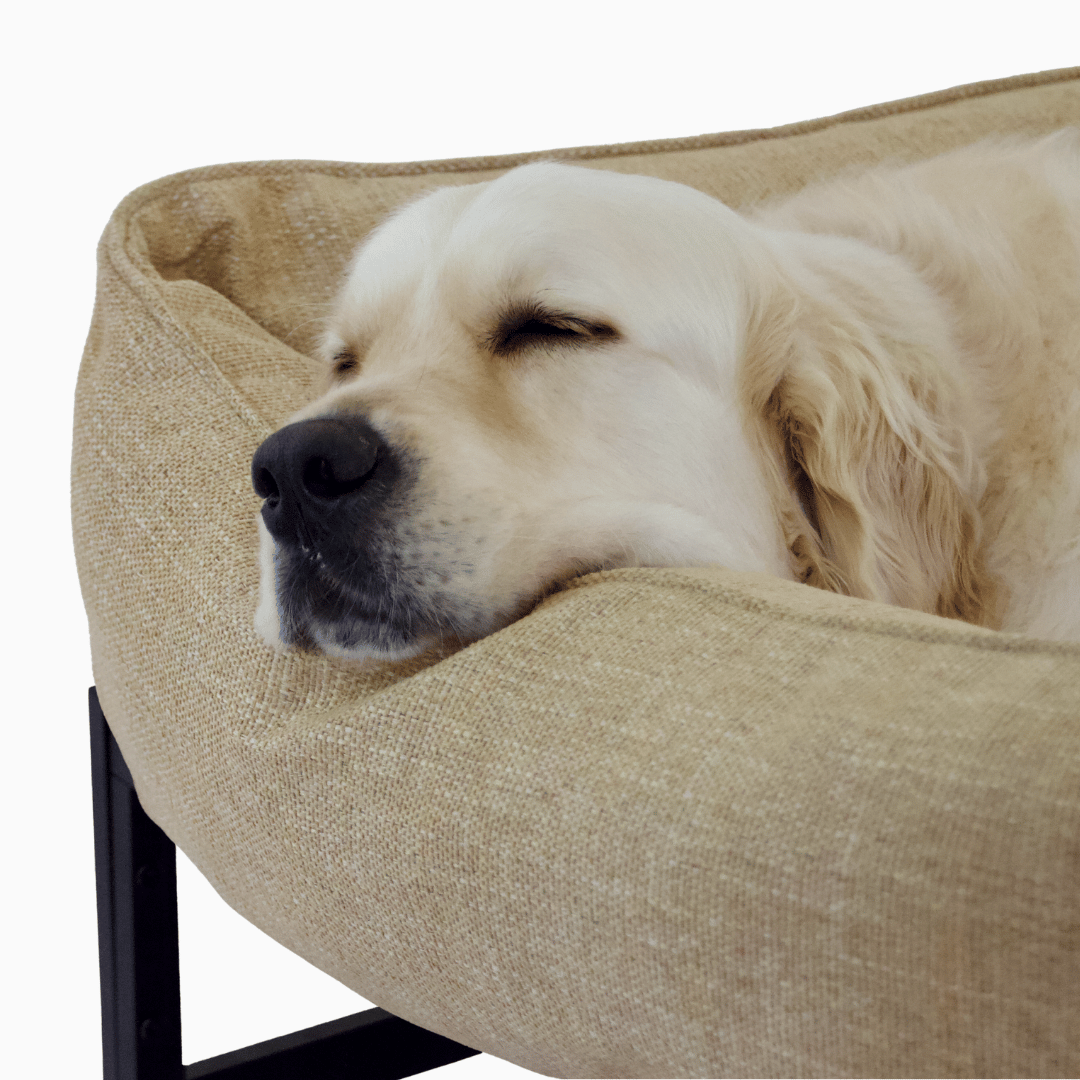 Dog Bed Cover