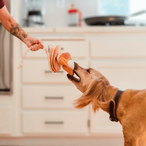 Pancake Stack Dog Toy