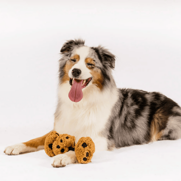 Cookies n’ Treats Dog Toy