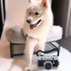 Camera Dog Toy