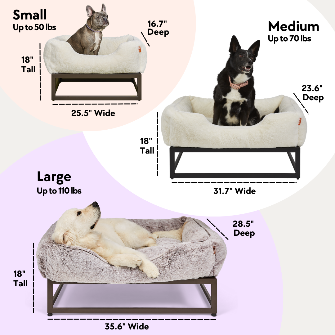 Luxury bed for dog by Fuzi, offering an elevated platform to keep your pet cool and comfortable, in three sizes.