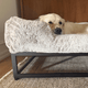 The FÜZI Elevated Dog Bed