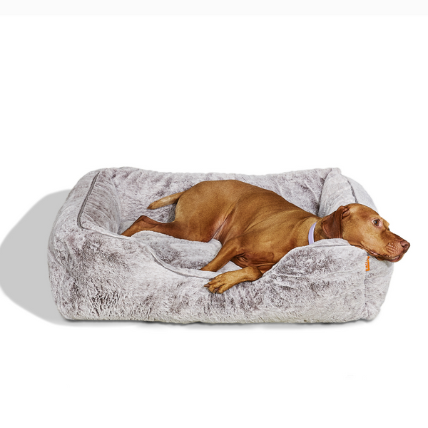 Viszla in a Sammy bolster dog bed in light grey faux fur by Fuzi, with a removable cover available in four beautiful colors and three sizes.