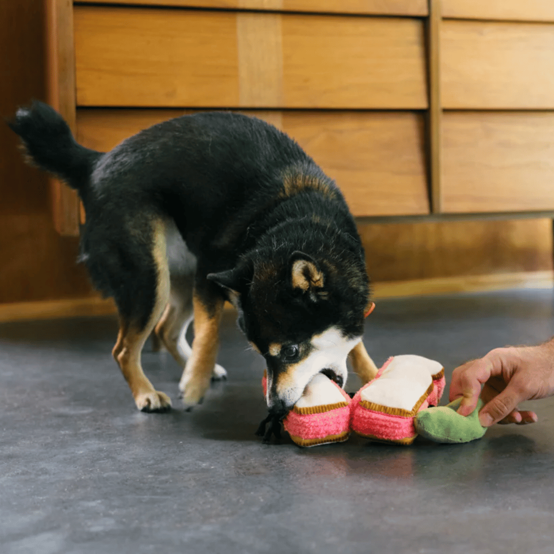 sandwich dog toy