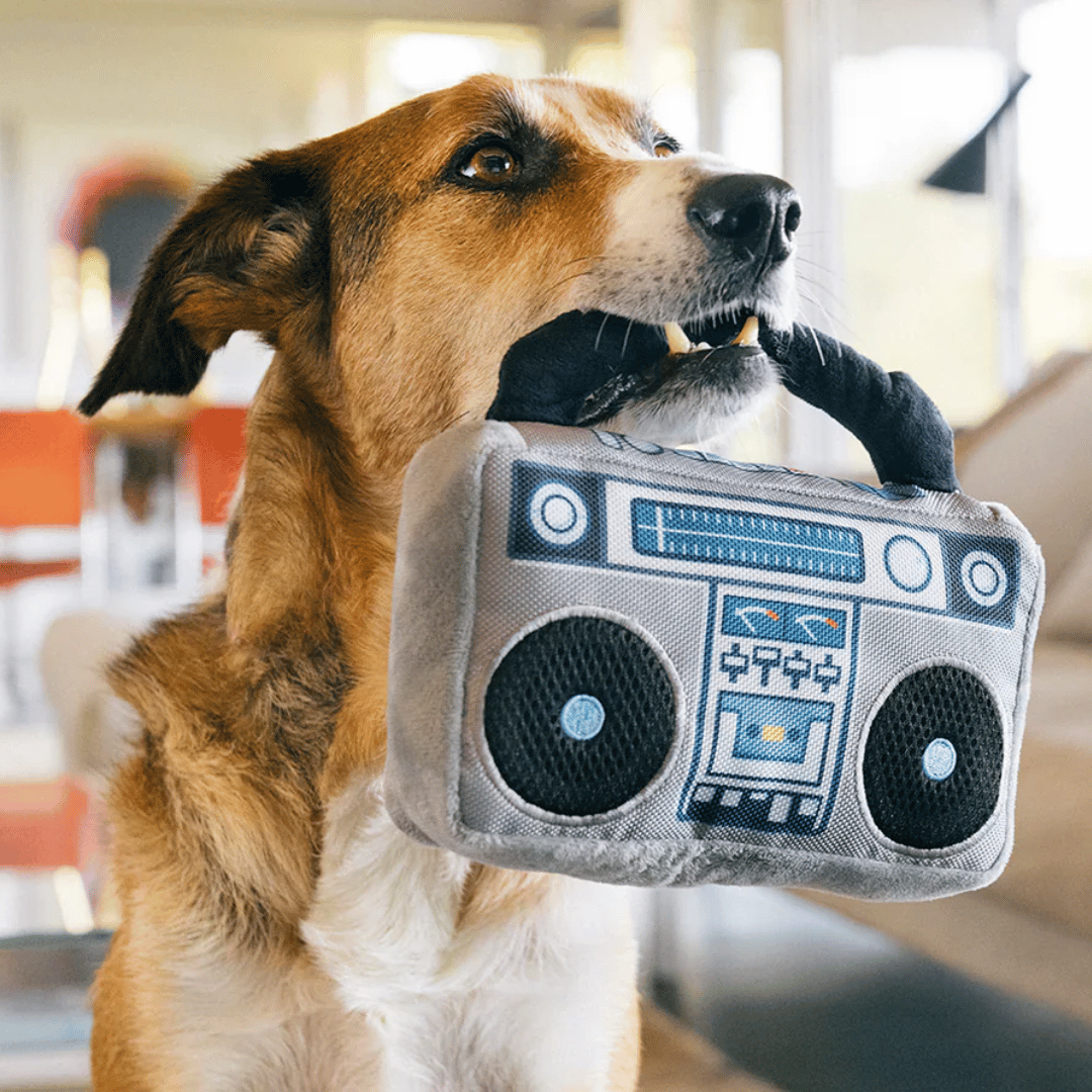 Boombox Dog Toy