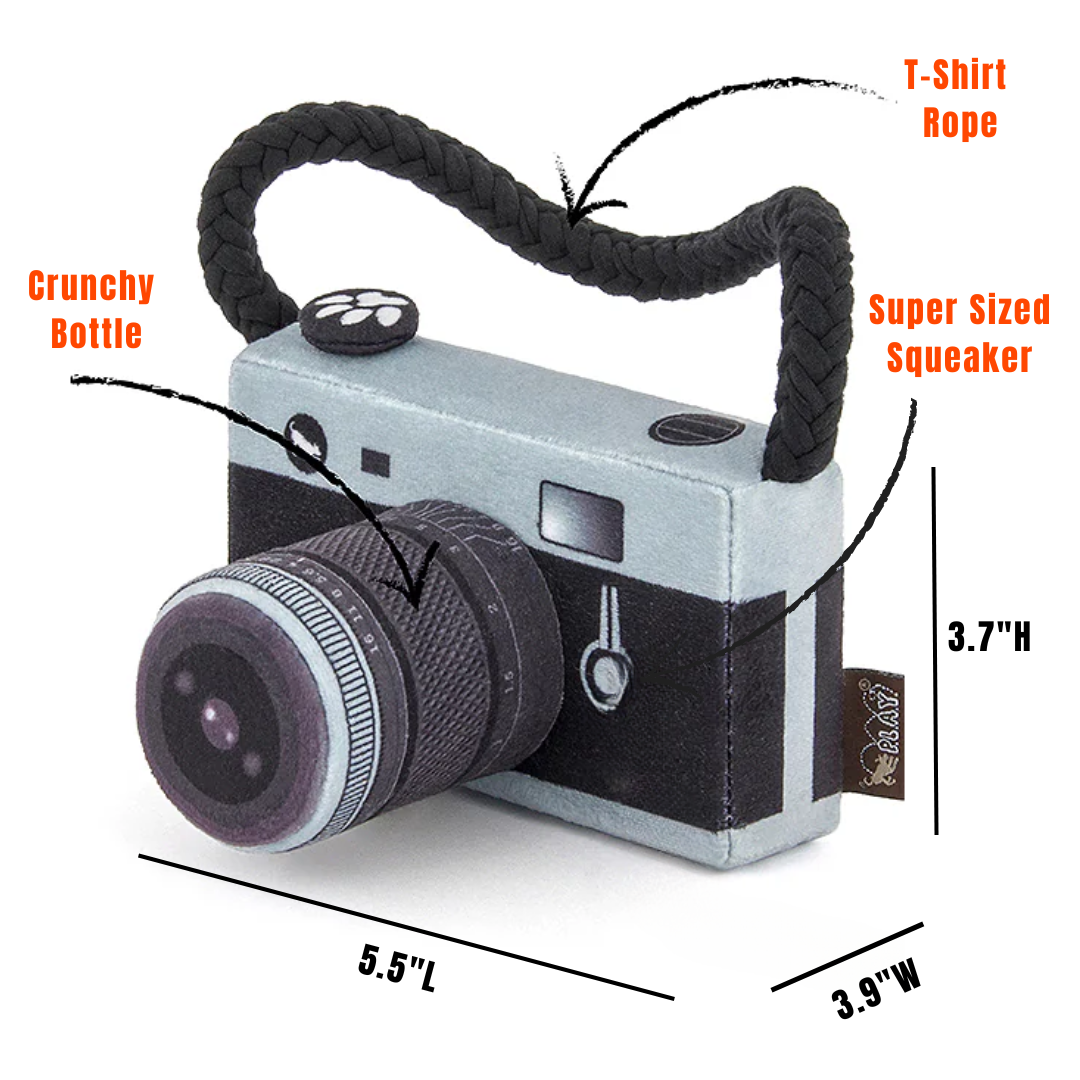 Camera Dog Toy