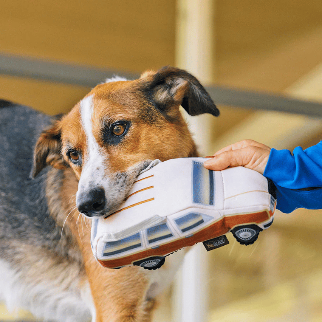 80's Station Wagon Dog Toy
