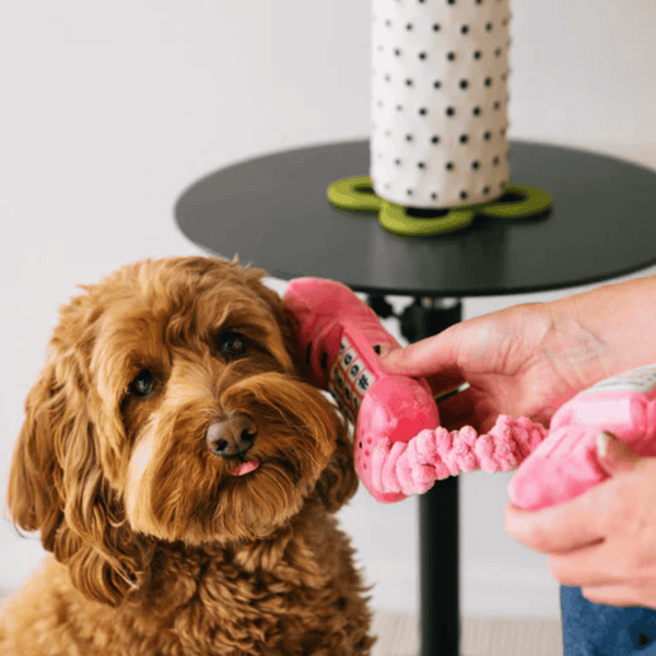 80's Wall Phone Dog Toy