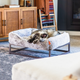 Bolster elevated dog bed by Fuzi, featuring raised sides for additional support and comfort for your pet.