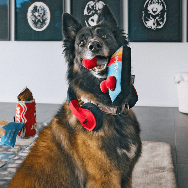 80's Joystick Dog Toy