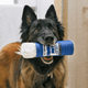 80's Aerosol Hair Spray Dog Toy