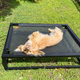Elevated Up Pup platform dog bed by Fuzi, a sturdy orthopedic metal frame raised dog bed in black, suitable for the Sammy bolster dog bed, available in three sizes and perfect for outdoor use.
