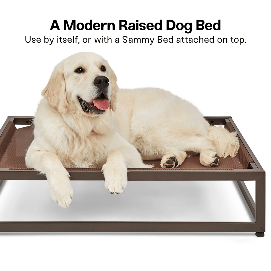 The Up Pup Dog Bed