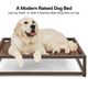 The Up Pup Dog Bed