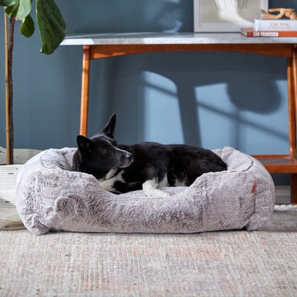 Mixed breed black medium dog in a Sammy bolster dog bed in light grey faux fur by Fuzi, with a removable cover available in four beautiful colors and three sizes.