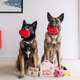 Sweet Lips Dog Toy