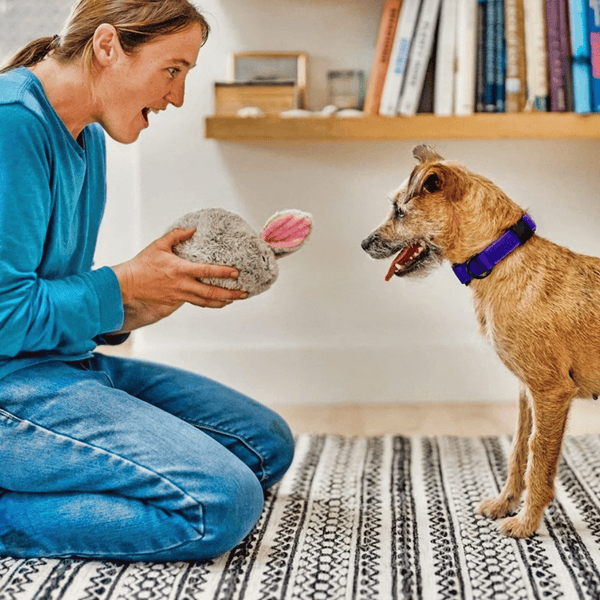 Bunny Rabbit Dog Toy