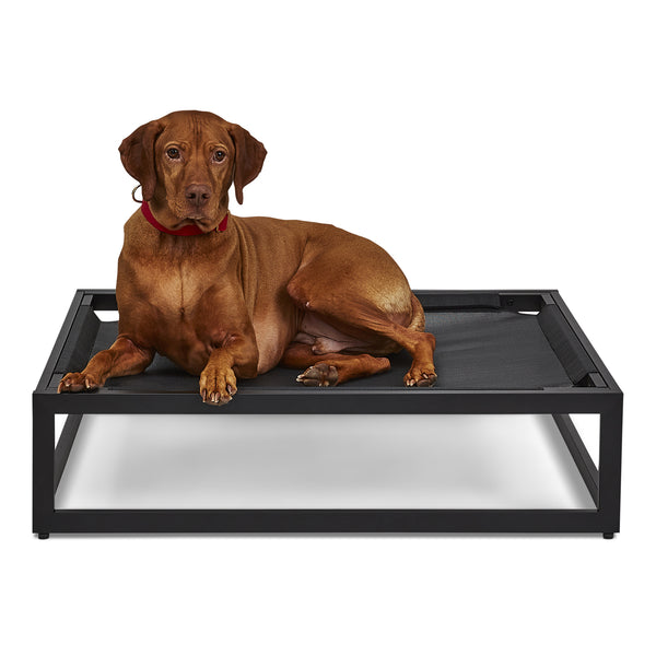 Up Pup platform dog bed by Fuzi, an elevated orthopedic metal frame dog bed in black, perfect for adding the Sammy bolster dog bed, available in three sizes and designed for all weather.
