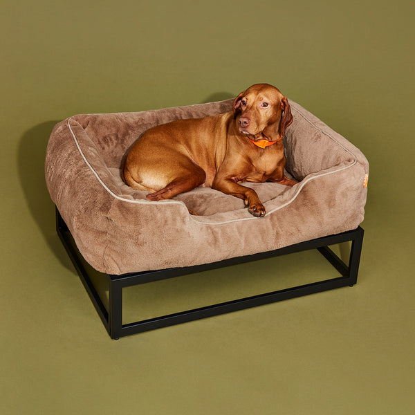 Best elevated dog beds by Fuzi, designed for enhanced airflow, support, and comfort, in medium brown and black.