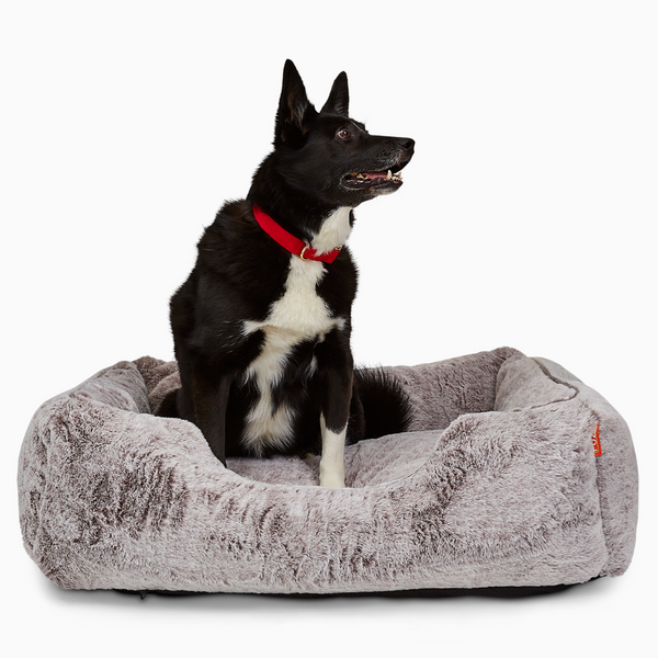 SAMMY DOG BED 