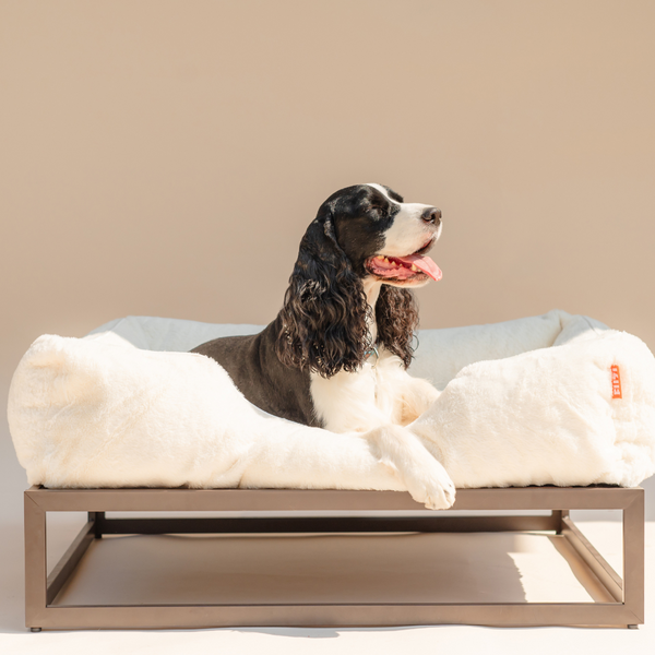 Raised dog bed by Fuzi, perfect for keeping your pet off the ground and comfortable, medium elevated dog bed in white and brown metal base.