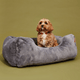 The Sammy Dog Bed