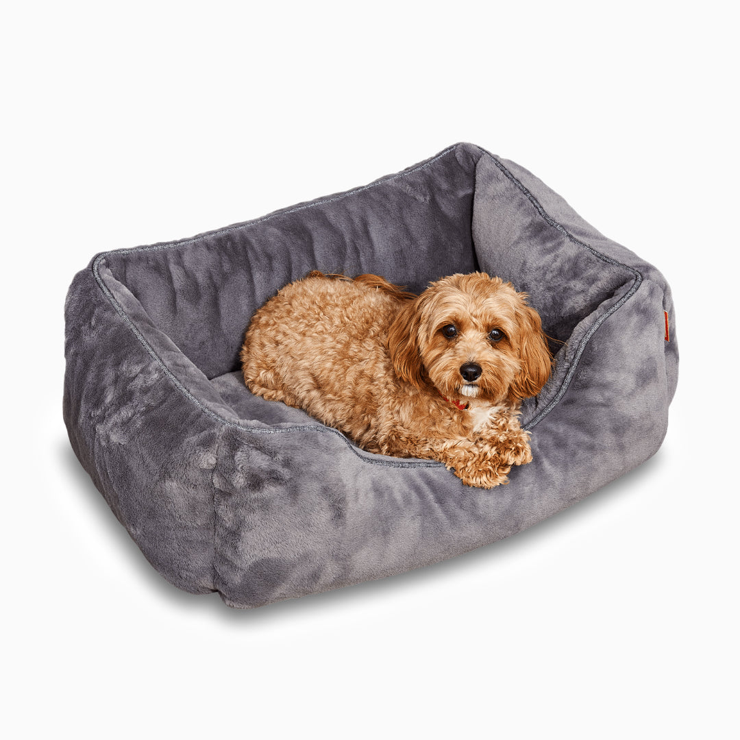 The Sammy Dog Bed