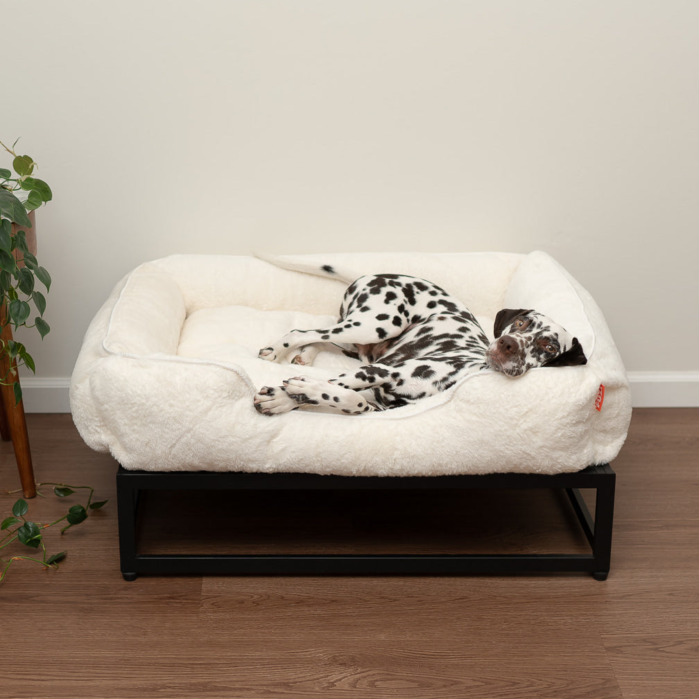 The FÜZI Dog Bed