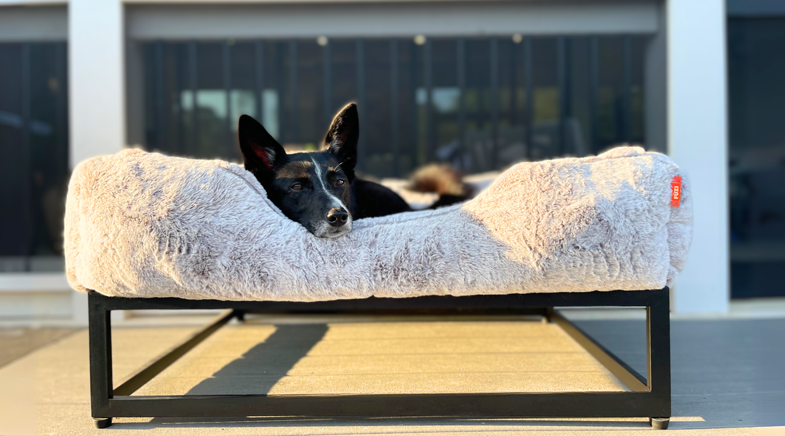 Picture of FÜZI Pets Luxury Dog Beds - Elevated Dog Beds - Modern Dog Beds