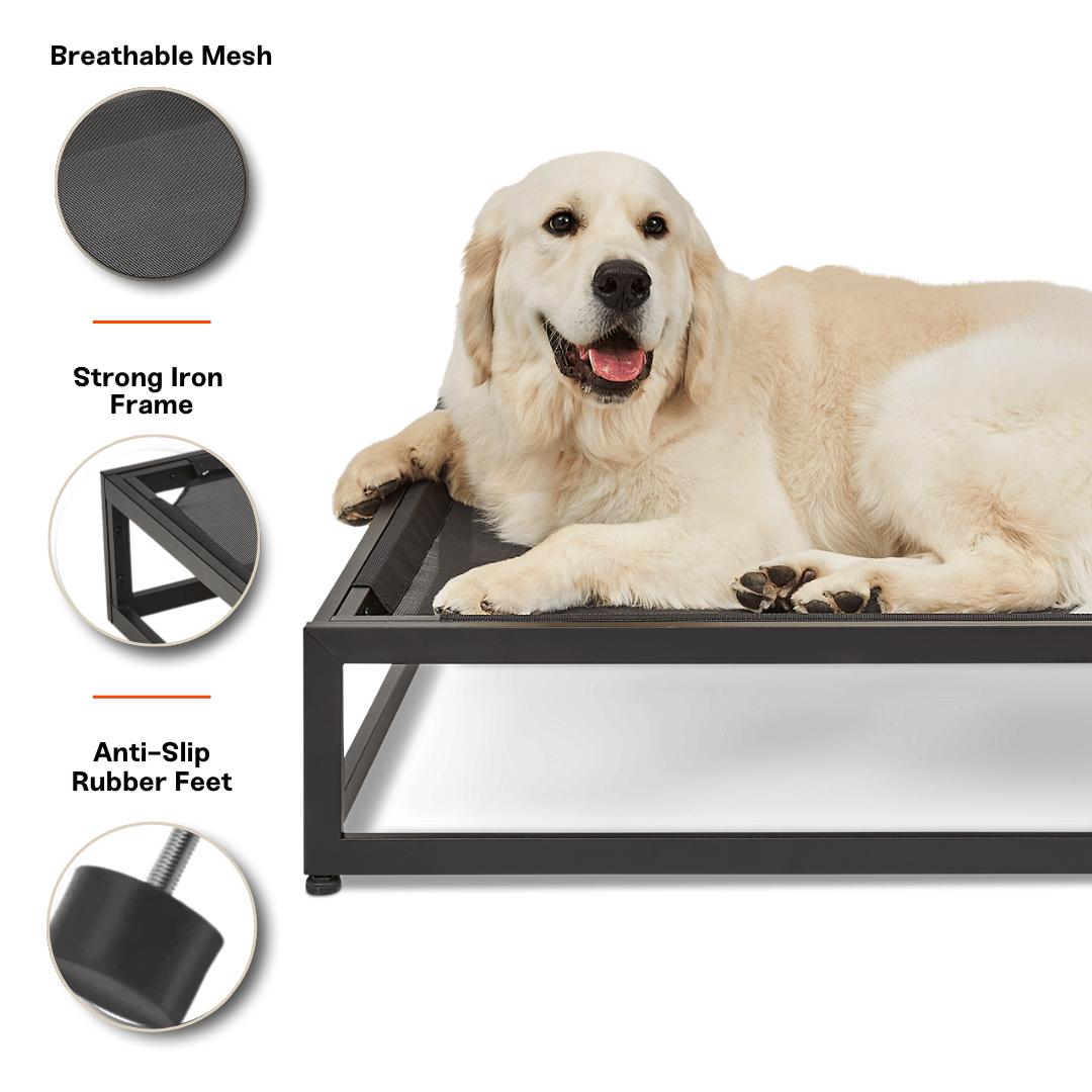 The Modern Raised Dog Bed - Elevated Dog Beds for Large Dogs – FÜZI