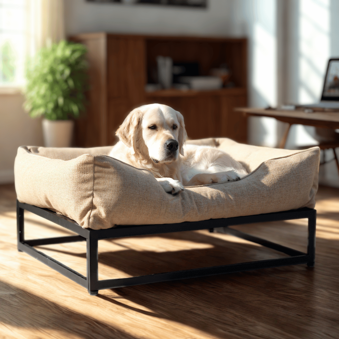 The FÜZI Elevated Dog Bed