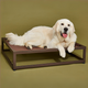 The Up Pup Dog Bed