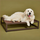 Elevated Up Pup platform dog bed in Brown, by Fuzi, a durable orthopedic metal frame raised dog bed in brown, suitable for use with or without the Sammy bolster dog bed, available in three sizes and perfect for outdoor use.